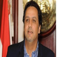 الأمن المصري يعتقل مسؤولاً سابقاً في حملة السيسي الرئاسية