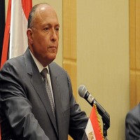 تخبّط في القاهرة  بشأن إرسال قوات عربية لسوريا