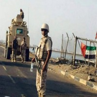 مستشارة في مجلس الأمن تزعم: الإمارات تلعب دوراً "تخريبياً" في اليمن