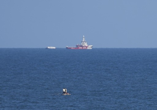 الإمارات تعلن وصول أول سفينة مساعدات إلى غزة عبر الممر البحري