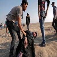 برلماني أوروبي يطالب بفرض عقوبات على إسرائيل بسبب جرائمها في غزة