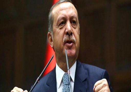 أردوغان: التعاون التركي القطري سيستمر بشكل قوي
