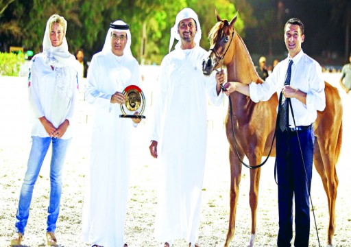 مربط دبي يخطف أضواء «الإمارات لمربي الخيول»