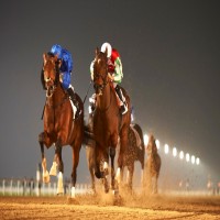 الإمارات تشارك بـ3 خيول في الشوط الرئيسي لكأس دبي العالمي