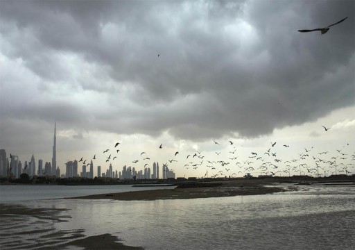 توقعات بتكون سحب ركامية يصاحبها سقوط أمطار في الإمارات