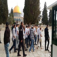 244 مستوطناً إسرائيلياً يقتحمون المسجد الأقصى