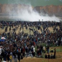 الجامعة العربية تطالب بلجنة تحقيق دولية في قتل متظاهرين فلسطينيين