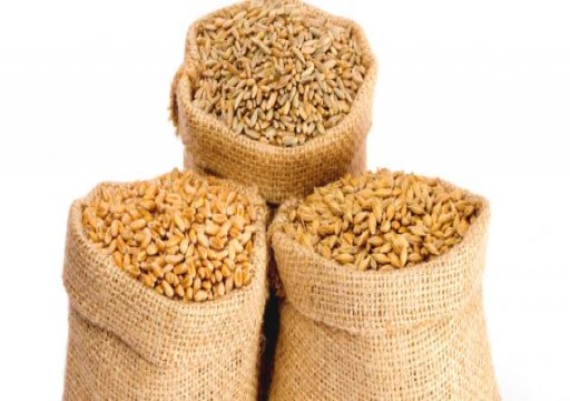 السعودية: شراء 10 %من احتياجات القمح من شركات سعودية بالخارج