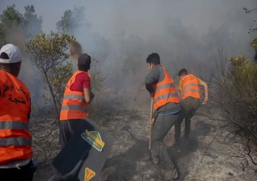 المغرب.. مقتل ثلاثة من رجال الإطفاء أثناء مكافحة حريق غابات