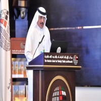 مسؤول خليجي: شراكة الإمارات والسعودية ضمانة للاستقرار