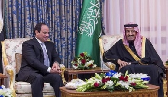 "ديبكا فايل" يكشف سر زيارة السيسي المفاجئة للسعودية