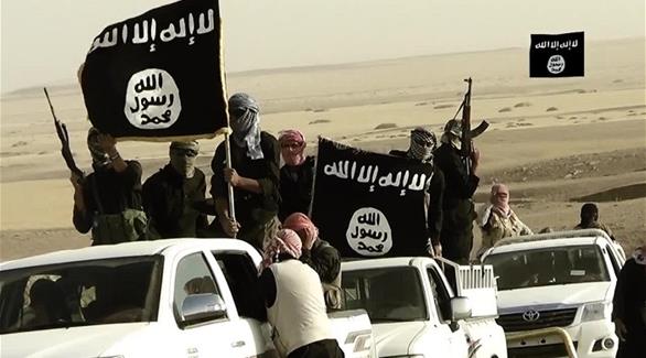 ديلي ميل: "نخبة داعش" و "الانغماسيون" سر انتصارات التنظيم