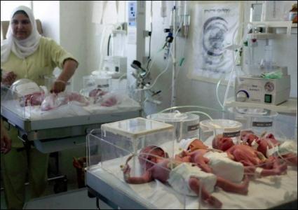 13500 مولود جديد في غزة خلال ثلاثة أشهر