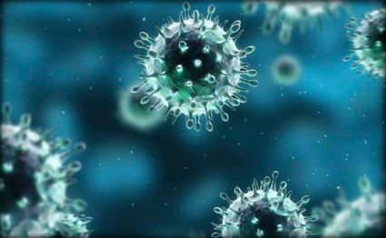 ظهور أول حالة إصابة بفيروس كورونا في أمريكا