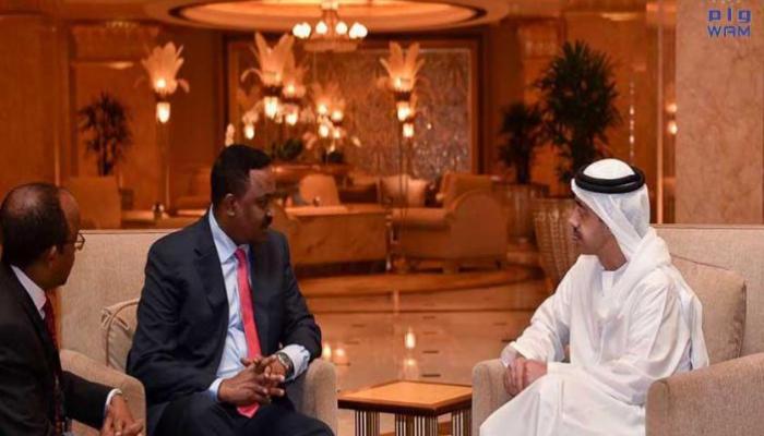 وزيرا خارجية الإمارات وإثيوبيا يبحثان تعزيز التعاون والتطورات الراهنة