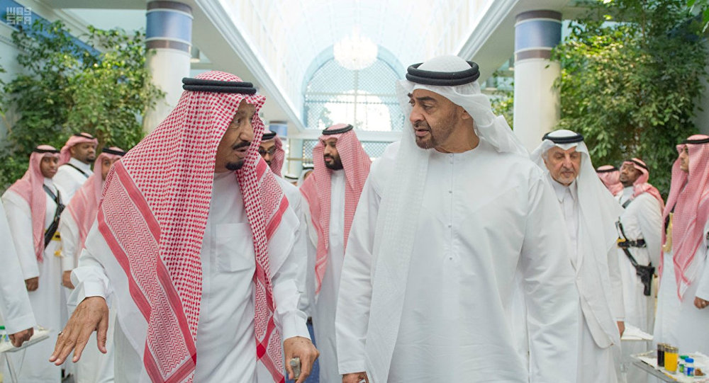 الإمارات تشكل لجنة تعاون مشتركة مع السعودية قد تكون بديلا عن "التعاون"
