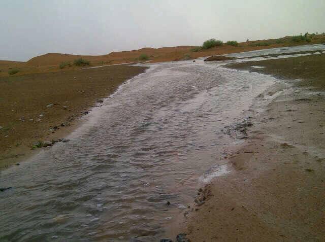 أمطار غزيزه تعم مناطق الدولة