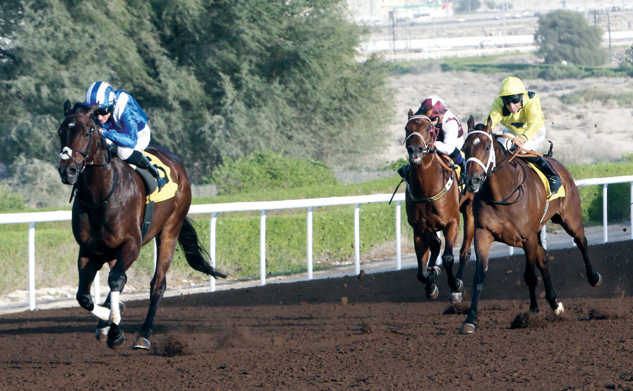خيول إماراتية وأمريكية مرشحة للفوز بكأس دبي