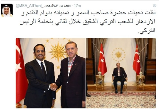 وزير الخارجية القطري يلتقي أردوغان ويجري مباحثات مع نظيره التركي