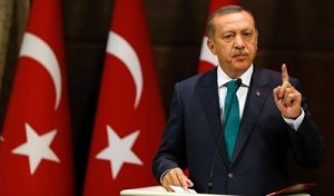 أردوغان: اتفقنا مع السعودية وقطر على مناطق عازلة في سوريا