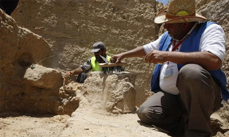 اكتشاف أحفور في أبوظبي تعود إلى ما قبل 8 ملايين عام