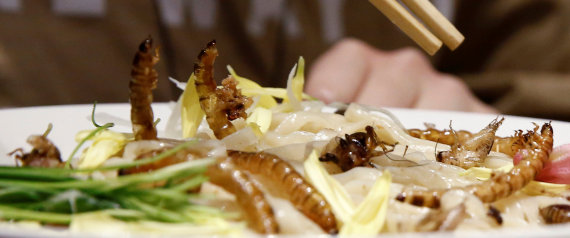 يابانيون يصطفون أمام أحد المطاعم لتناول معكرونة بالحشرات وأرز بالصراير