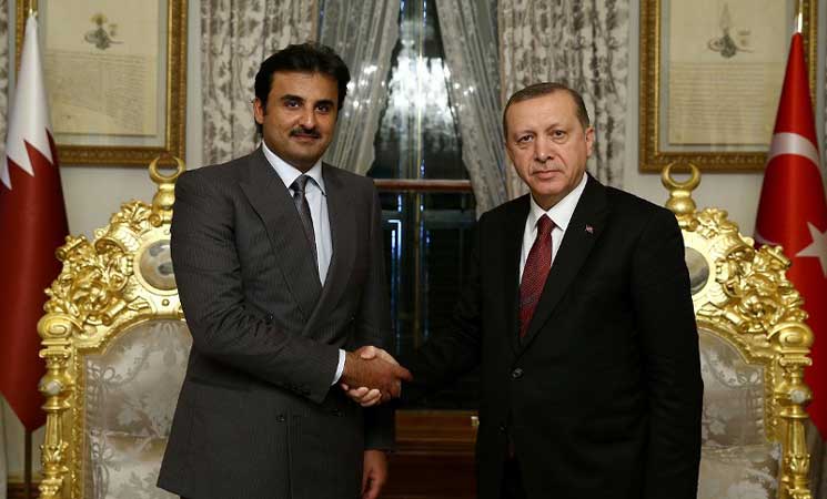 مباحثات بين الرئيس التركي وأمير قطر في إسطنبول بعيدًا عن عدسات الصحافة