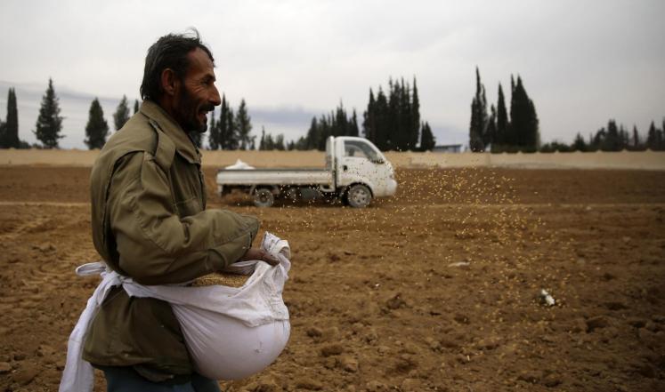 حكومة دمشق لا تتوقع استيراد القمح هذا الموسم 