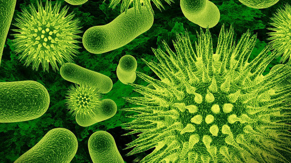 اكتشاف بكتيريا لا يمكنها "العيش" بدون الإنسان