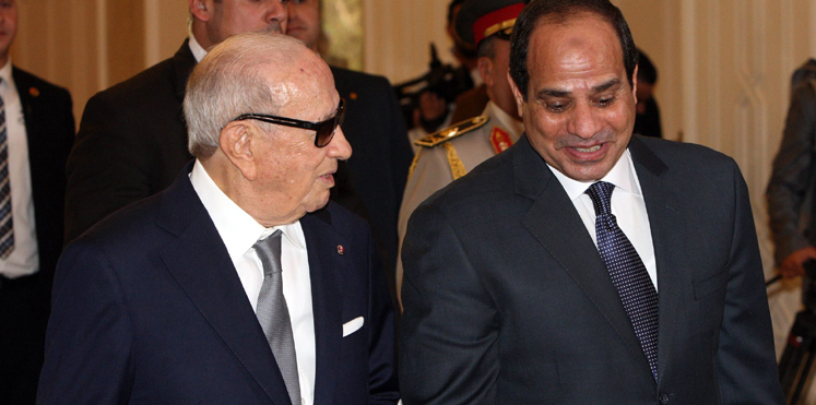زيارة السيسي لتونس تثير انقسامًا حادًا في الأوساط الرسمية والشعبية