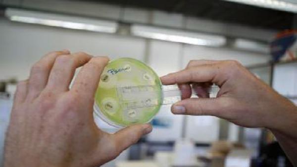 الصحة العالمية: كورونا مازال يمثل قلقا قبيل موسم الحج