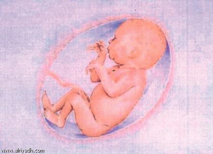 حاكم فلوريد يوقع قانونا يحظر الإجهاض